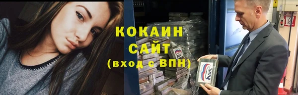 прущие крисы Новозыбков
