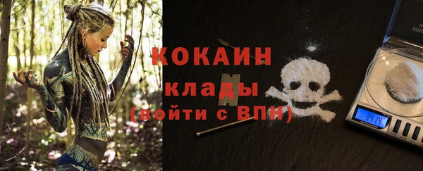 стаф Новодвинск