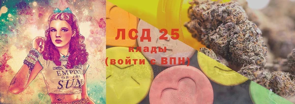 прущие крисы Новозыбков