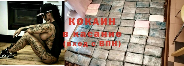 стаф Новодвинск