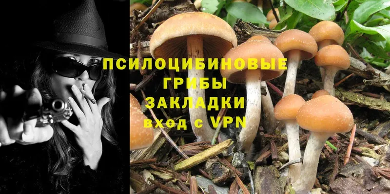 Галлюциногенные грибы Magic Shrooms  Нерчинск 