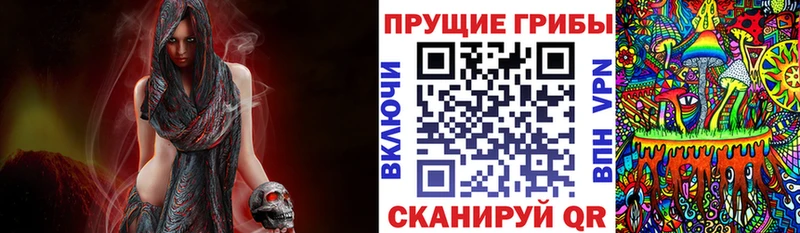 Псилоцибиновые грибы Psilocybine cubensis  Нерчинск 