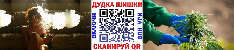 Марихуана SATIVA & INDICA где купить наркоту Нерчинск